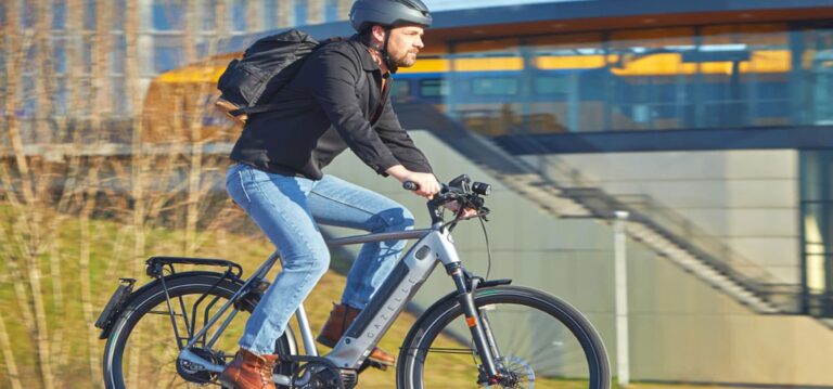 speedpedelec en e-bikes hot-wax